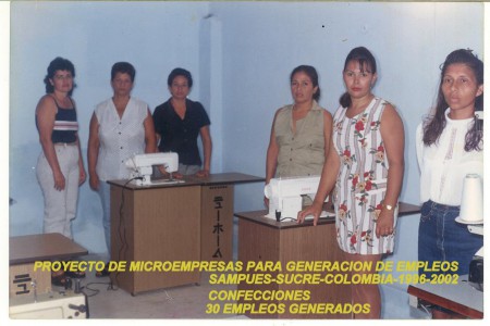 Proyecto empleos y mcroempresas